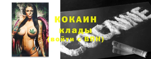 соль курить ск Белокуриха