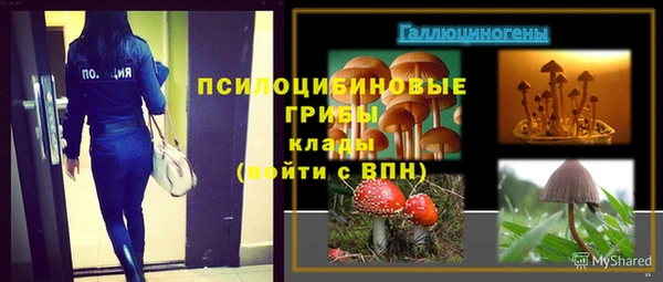 спайс Беломорск