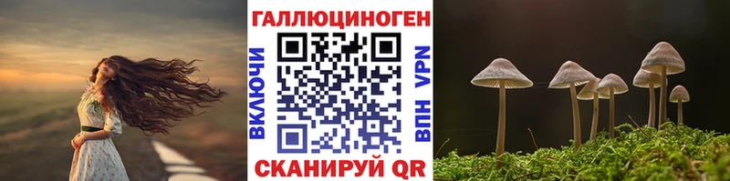 закладка Шумиха Галлюциногенные грибы мухоморы